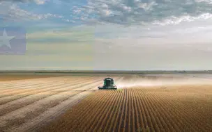 Duas cidades do Piauí estão entre os 50 maiores produtores de grãos do Brasil