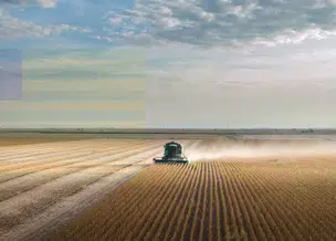 Valor da produção agrícola do Piauí em 2025 foi o quarto maior da região Nordeste, diz IBGE