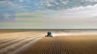 Duas cidades do Piauí estão entre os 50 maiores produtores de grãos do Brasil