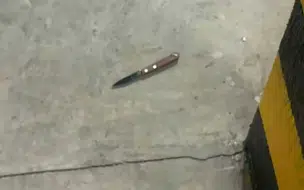 Sinpolpi emite nota lamentando agressão contra policial civil em Teresina