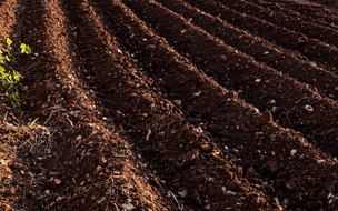 Coivaras inicia arado de terras para apoiar pequenos produtores rurais locais