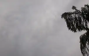 Previsão do Tempo - Piauí 6 de dezembro de 2024