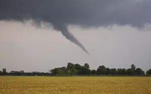 Um tornado atingiu a Zona Rural de Alagoas e causou danos ao menos 10 residência