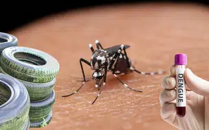 Mais da metade dos municípios do PI notificam casos de dengue e Sesapi intensifi