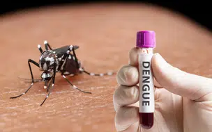 Teresina registra duas mortes com suspeita de dengue