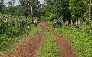A Prefeitura da cidade de Esperantina realiza tradicional “Roço da Semana Santa”