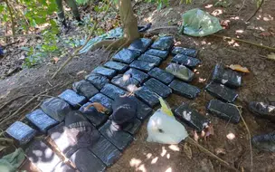 PM apreende grande quantidade de droga enterrada em lamaçal na zona norte de THE