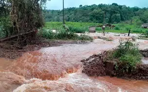 Agricultores estimam 'perdas sem precedentes' no Rio Grande do Sul