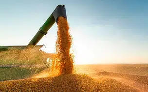 Piauí alcançou o maior valor em exportações em abril deste ano revela pesquisa