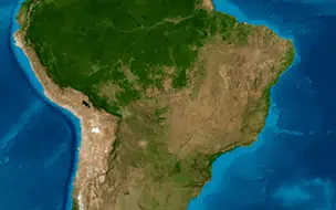 Cerrado brasileiro lidera área de desmatamento no país diz relatório