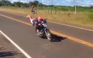 Motoqueiro é flagrado ao fazer manobra arriscada em rodovia no Piauí