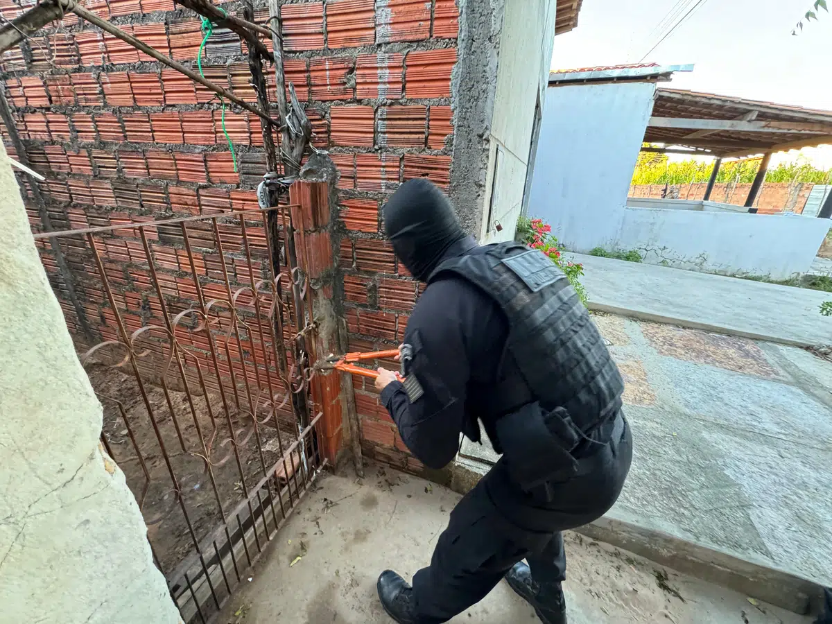 Operação foi deflagrada nas primeiras horas da manhã de hoje em Pedro II