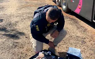PRF intercepta ônibus e prende passageira com 15 tabletes de cocaína em Valença