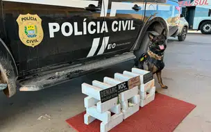 Homem é preso com 24kg de maconha em ônibus na cidade de Bom Jesus