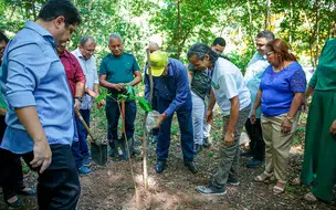 Prefeitura entrega Viveiro de Mudas na zona Norte de Teresina