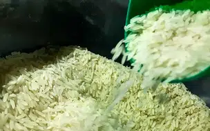 Governo do Brasil decide aperfeiçoar regras e anula leilão para arroz importado