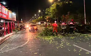 Motoqueiro é atingido por árvore na Av. Piauí no centro de Timon