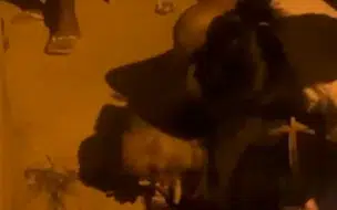 Mãe se desespera ao ver filho sendo morto na frente de casa em Timon