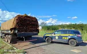 PRF apreende carga ilegal de madeira na BR 343 em Piripiri