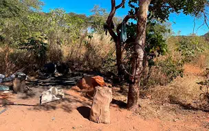 PF resgata trabalhadores em situação análoga à escravidão em Monte Alegre