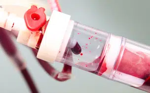 STF julga recusa de tratamento médico por fé religiosa e alternativas ao SUS