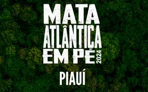 Operação “Mata Atlântica em Pé”, de combate ao desmatamento, é deflagrada no PI