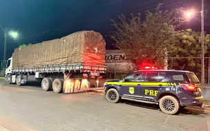 PRF apreende carga de madeira ilegal na PI 110 em Batalha