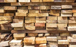 PRF Piauí já apreendeu mais de 114,72 m³ de madeira ilegal só em setembro