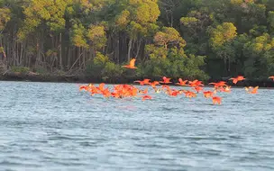 Piauí é o destino turístico para se gastar menos, diz IBGE