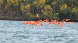 Piauí é o destino turístico para se gastar menos, diz IBGE