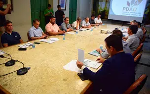 Prefeitura de Teresina quer plantar 30 mil árvores na capital