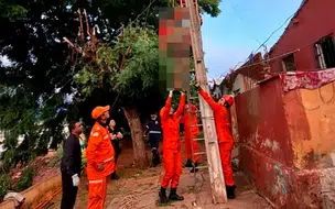 Trabalhador morre vítima de descarga elétrica durante poda de árvore em Picos