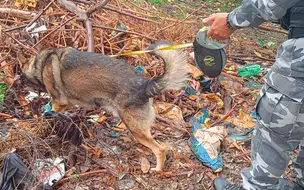 Acusado de vender cocaína em bar na zona norte de Teresina é preso pela PM