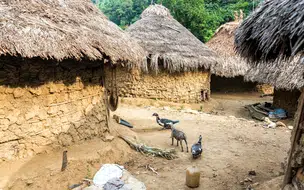 Força Nacional amplia proteção a indígenas em conflito no Paraná