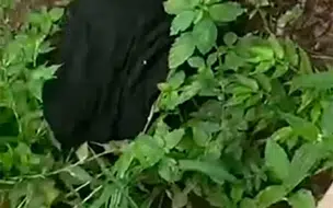 Recém-nascida é encontrada após ser deixada em matagal em Dom Expedito Lopes