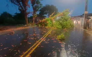 Chuva causa transtornos com ruas alagadas e queda de árvores em Teresina