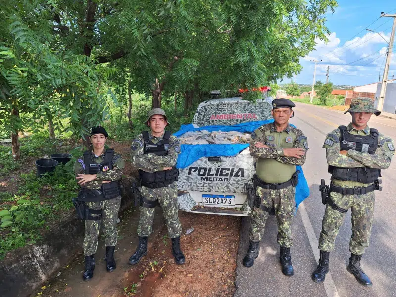 Polícia Militar apreende meia tonelada de peixes em transporte irregular em São Raimundo Nonat