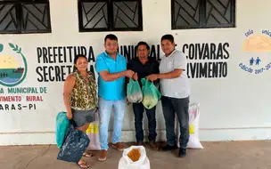 Prefeitura de Coivaras realiza entrega de sementes aos agricultores do município