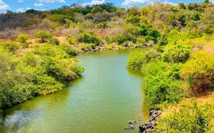 Desmatamento ilegal no Piauí registra queda de 67,9% no primeiro semestre de 2025