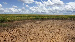 Monitoramento aponta seca extrema no Sudeste do Piauí em setembro