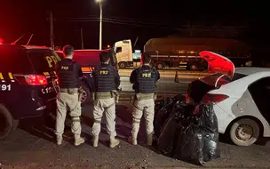 PRF apreende quase 100 kg de maconha na BR-316 em Picos