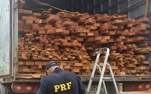 PRF apreende carga de madeira serrada irregular durante fiscalização em Picos