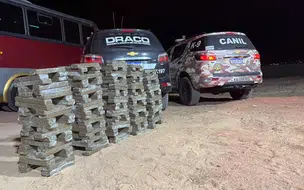 Operação da SSPPI apreende 250 quilos de drogas e realiza prisões em Bom Jesus