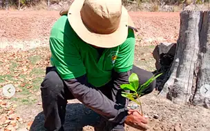 Coivaras realiza ação de revitalização ambiental com plantio de mudas nativas e frutíferas