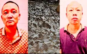 Decisão judicial põe chineses acusados de crime ambiental em liberdade no Piauí