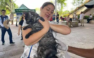 Vacinação contra raiva acontece nas zonas Norte e Leste de Teresina no sábado 22