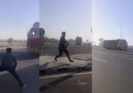 Vigilantismo de vacas avança na Índia e impulsiona ataques contra muçulmanos