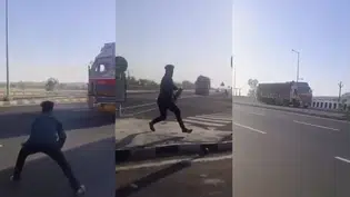 Vigilantismo de vacas avança na Índia e impulsiona ataques contra muçulmanos