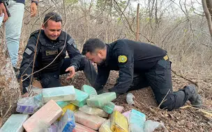 Operação apreende 300 kg de cocaína e prende suspeito em propriedade rural no Piauí