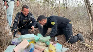 Operação apreende 300 kg de cocaína e prende suspeito em propriedade rural no Piauí